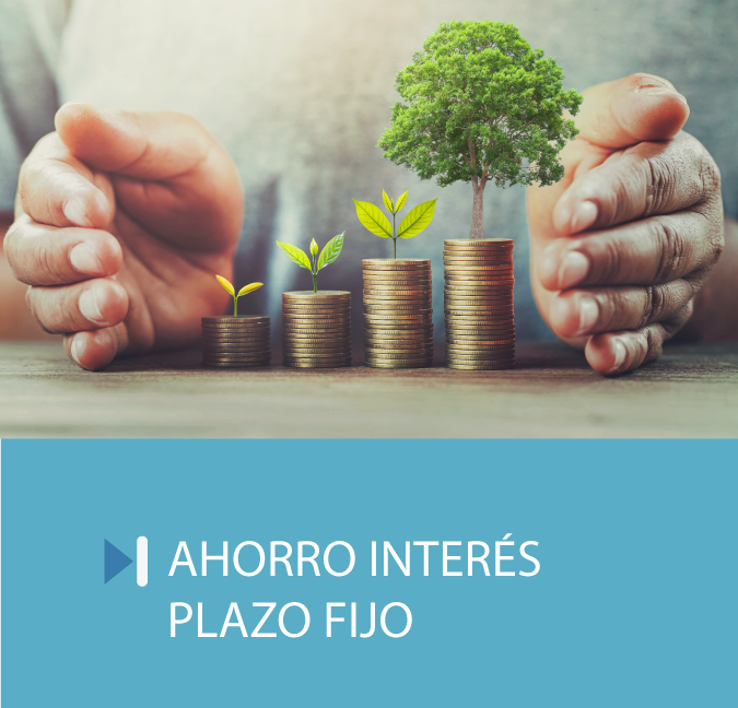 plazo-fijo-interes.png