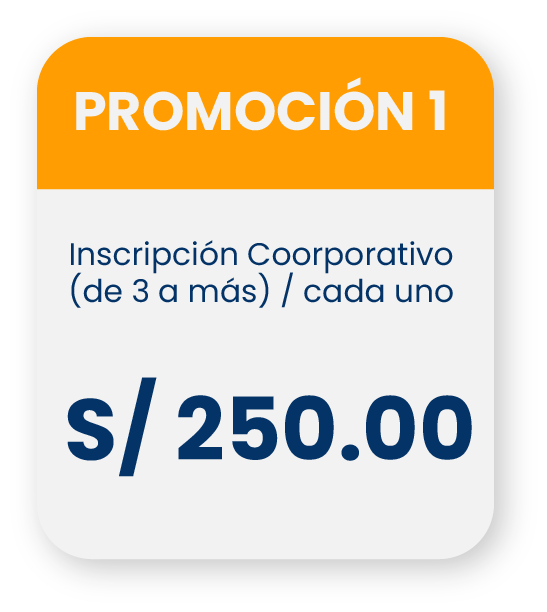 Recurso 45